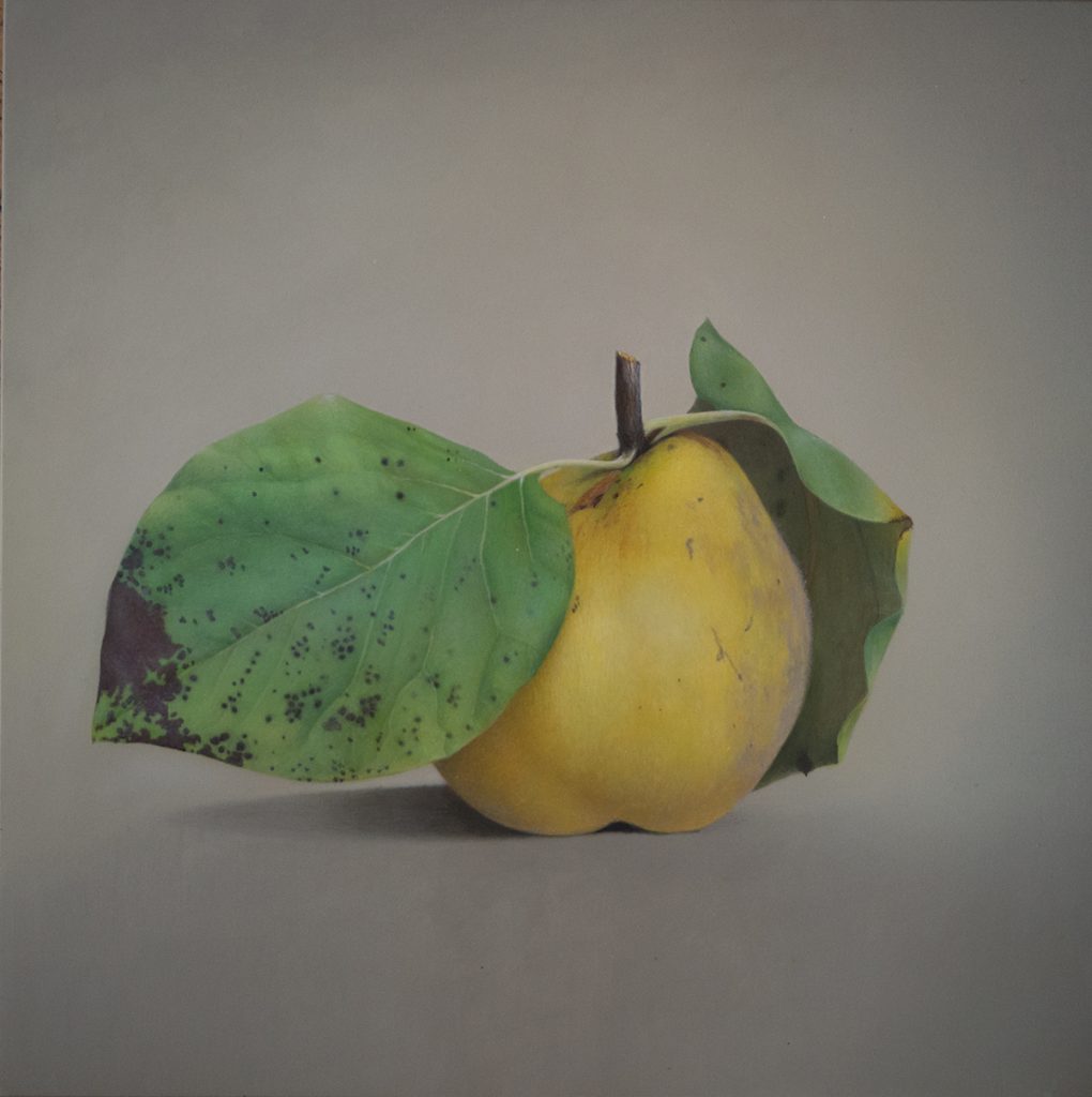 Quitte 12 © Diethard Sohn 2018 Acryl auf HDF 30 x 30 cm