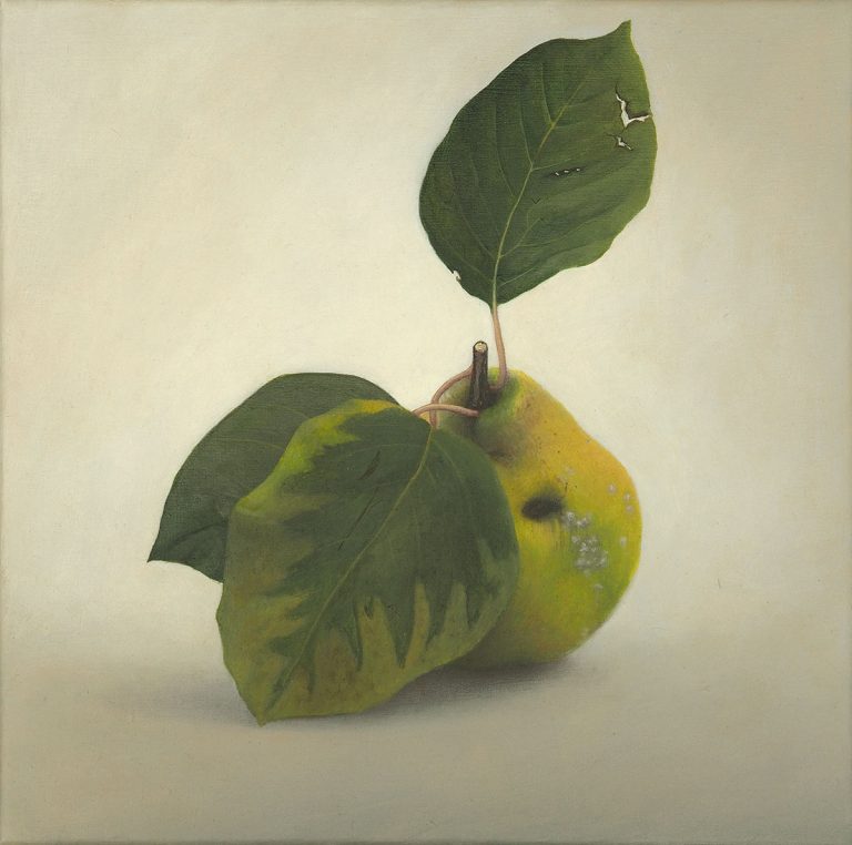 Quitte 01 Diethard Sohn 2014 Acryl auf Leinwand 30 x 30 cm (verkauft)