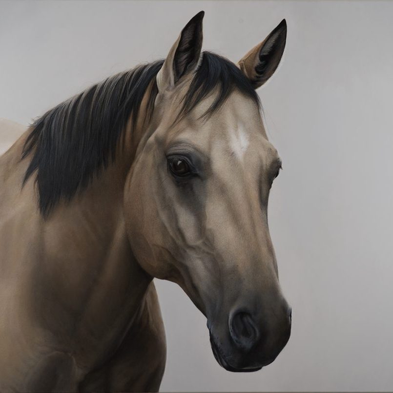 Peppy Acryl auf Leinwand 110 x 140 cm Diethard Sohn 2016 (in privater Sammlung)