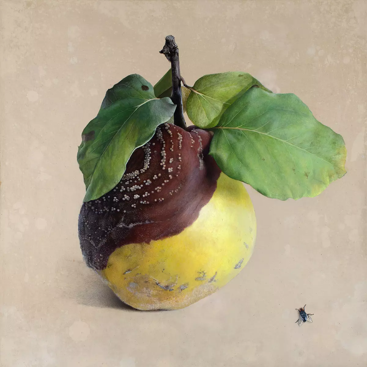Quitte M-02 mit gemalter Fliege, Acryl auf Kreidegrund und Holztafel, Diethard Sohn, 2001