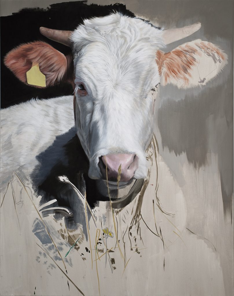 Tierportraits – Werkgruppe von Diethard Sohn