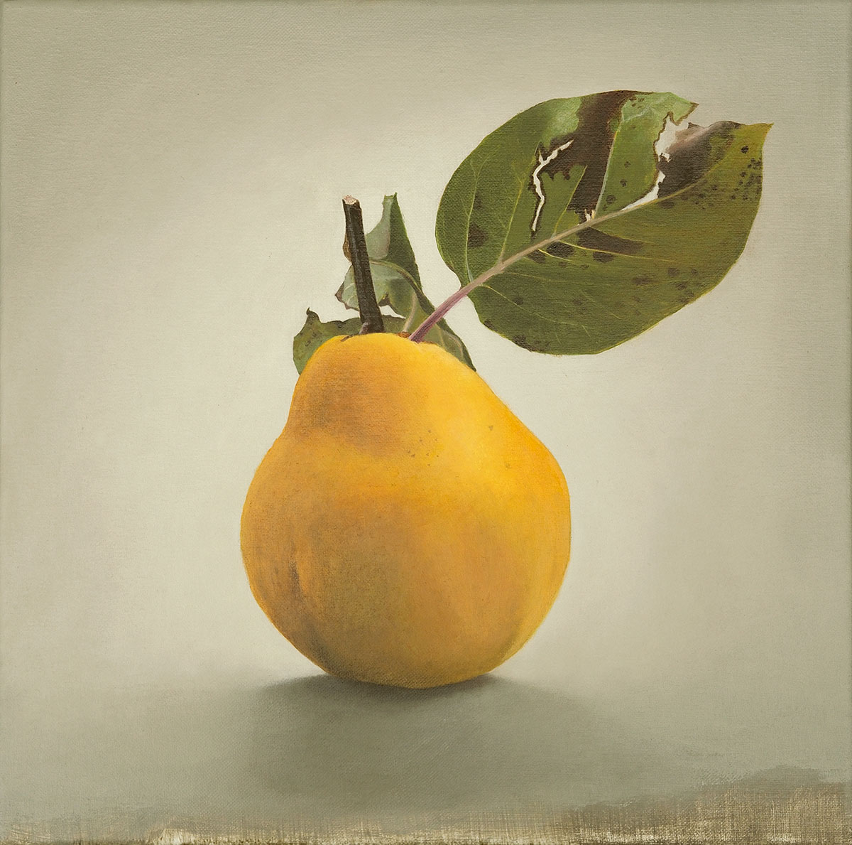 Quitte 02 Diethard Sohn 2014 Acryl auf Leinwand 30 x 30 cm(verkauft)