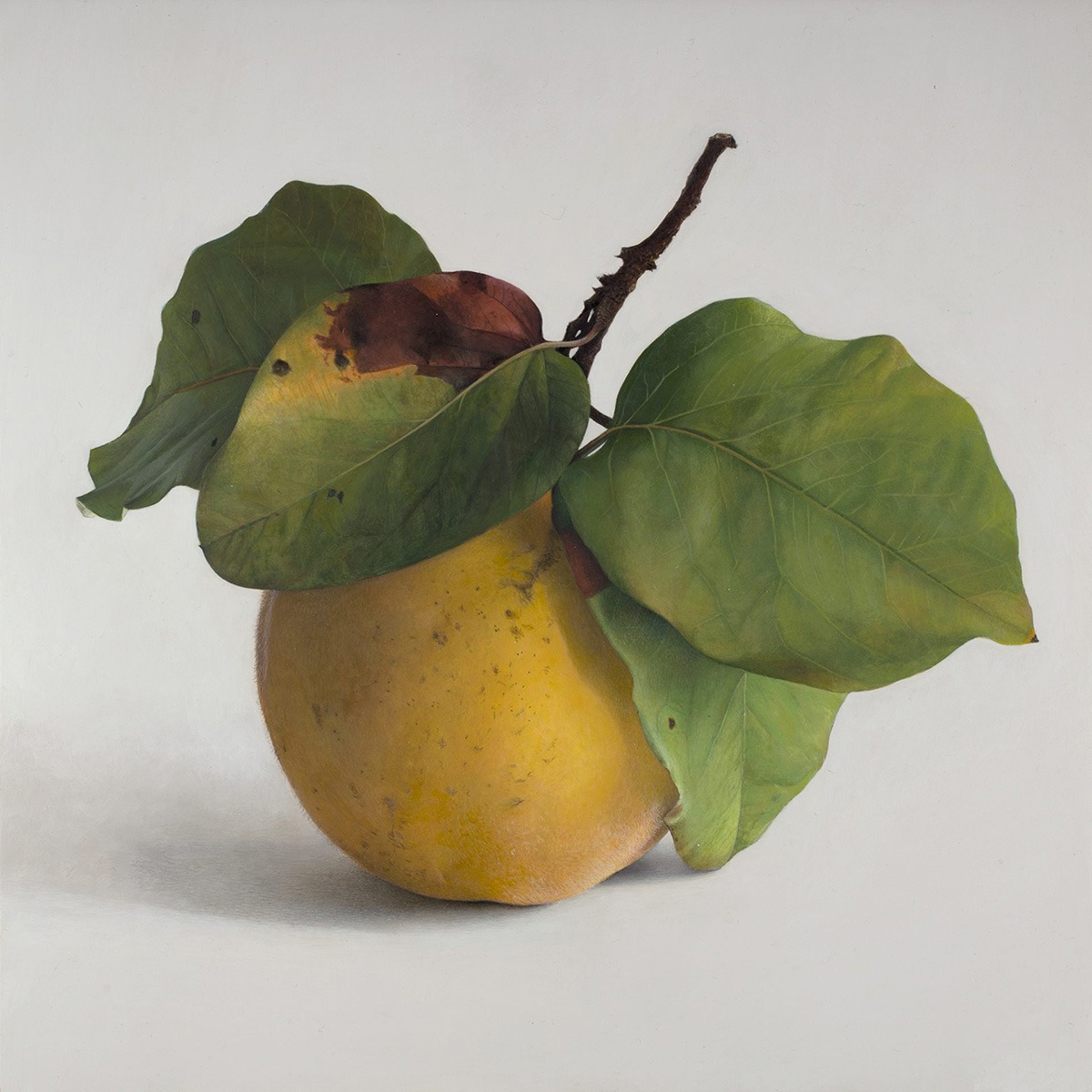 Quitte M-01, Acryl auf Kreidegrund/Holztafel, 2001, von Diethard Sohn