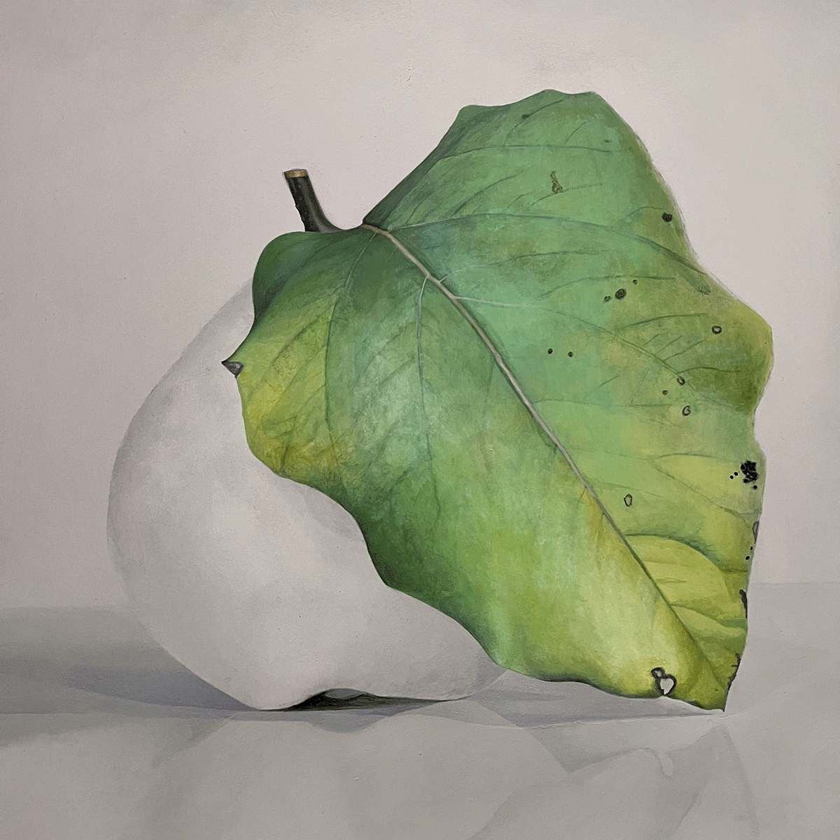 Quitte MUS-08, Acryl auf Tafel, 2025, von Diethard Sohn
