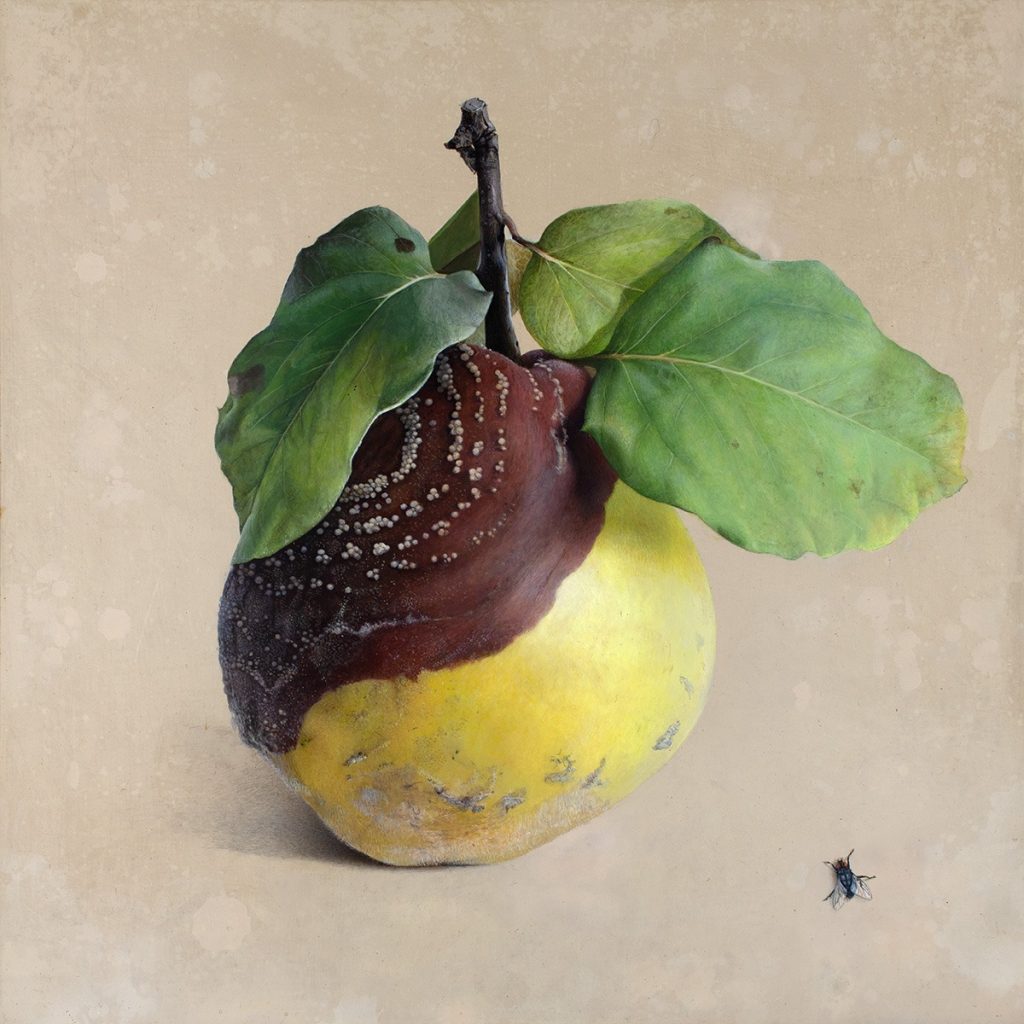 Quitte M-02, Acryl, Kreidegrund/Holztafel, 2001, von Diethard Sohn