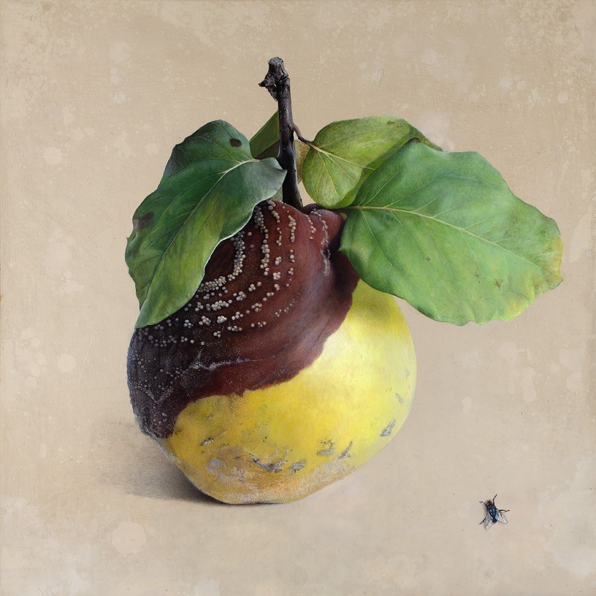 Quitte M-02, Acryl, Kreidegrund/Holztafel, 2001, von Diethard Sohn