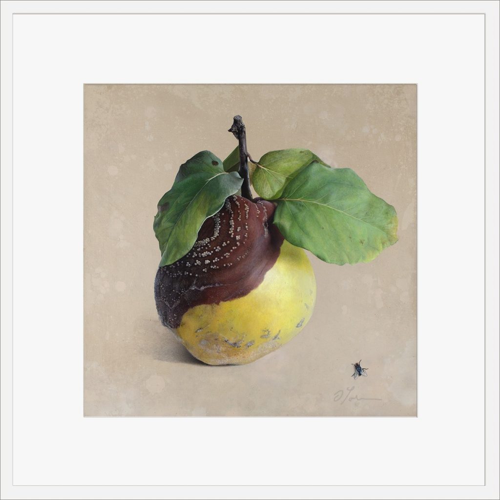 Quitte-M-02-4040-A-2021, Fine Art Print gedruckt auf Hahnemühle Papier signiert, 2026, von Diethard Sohn