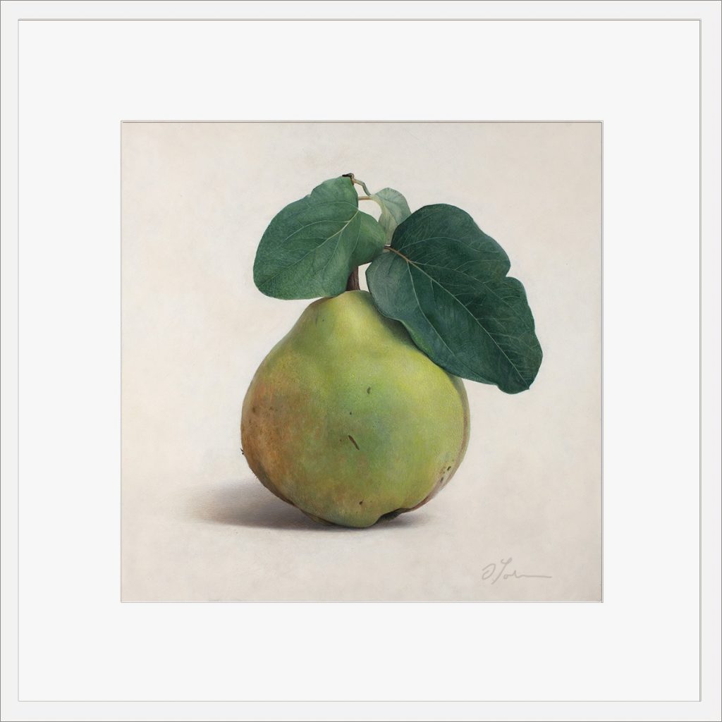 Quitte-M-03-4040-ET-2021, Fine Art Print gedruckt auf Hahnemühle Papier signiert, 2026, von Diethard Sohn