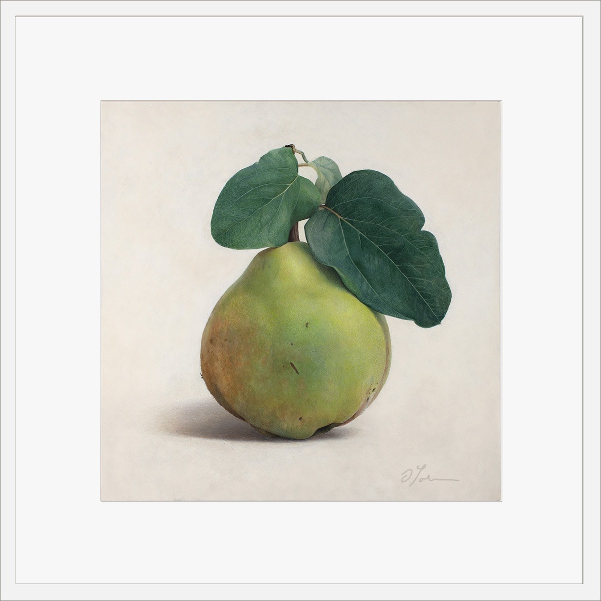 Quitte-M-03-4040-ET-2021, Fine Art Print gedruckt auf Hahnemühle Papier signiert, 2026, von Diethard Sohn