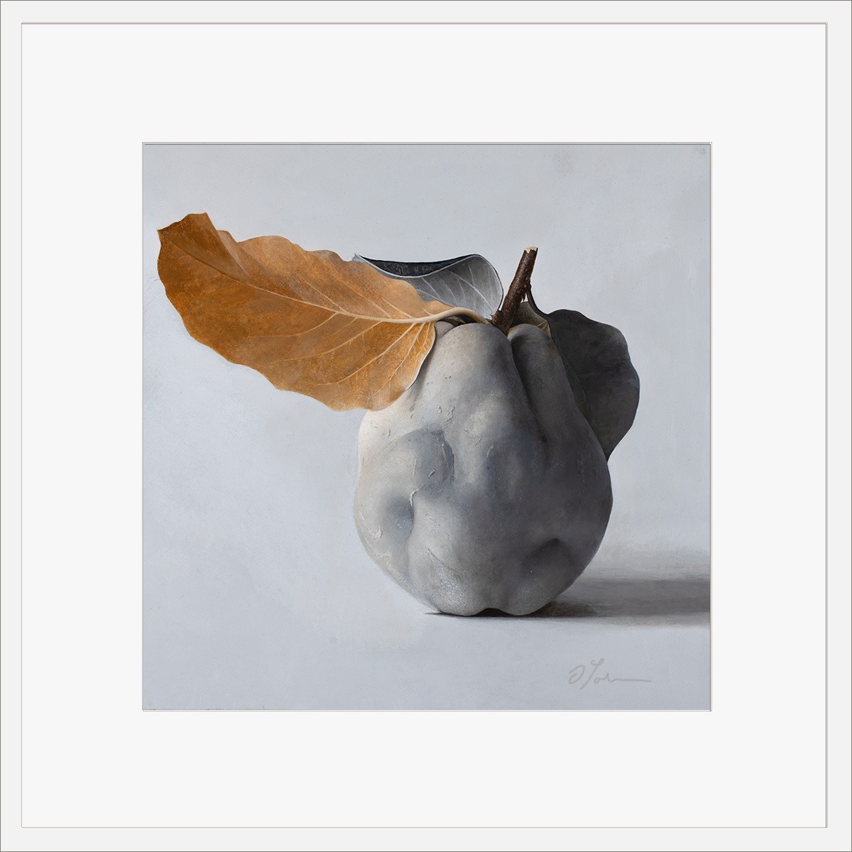 Quitte-MUS-01-4040-ET-2025, Fine Art Print gedruckt auf Hahnemühle Papier signiert, 2026, von Diethard Sohn