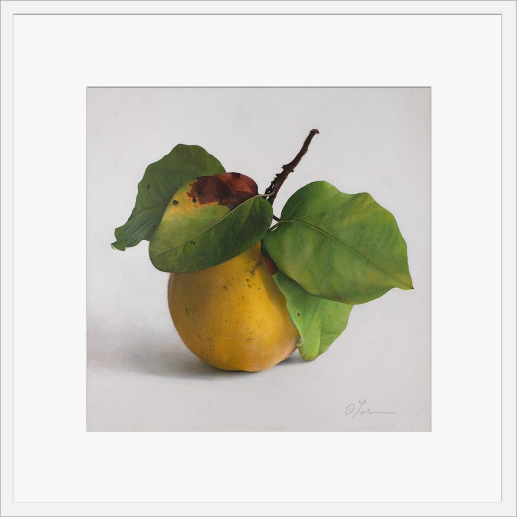 Quitte-M-01-4040-A-2021, Fine Art Print gedruckt auf Hahnemühle Papier signiert, 2026, von Diethard Sohn